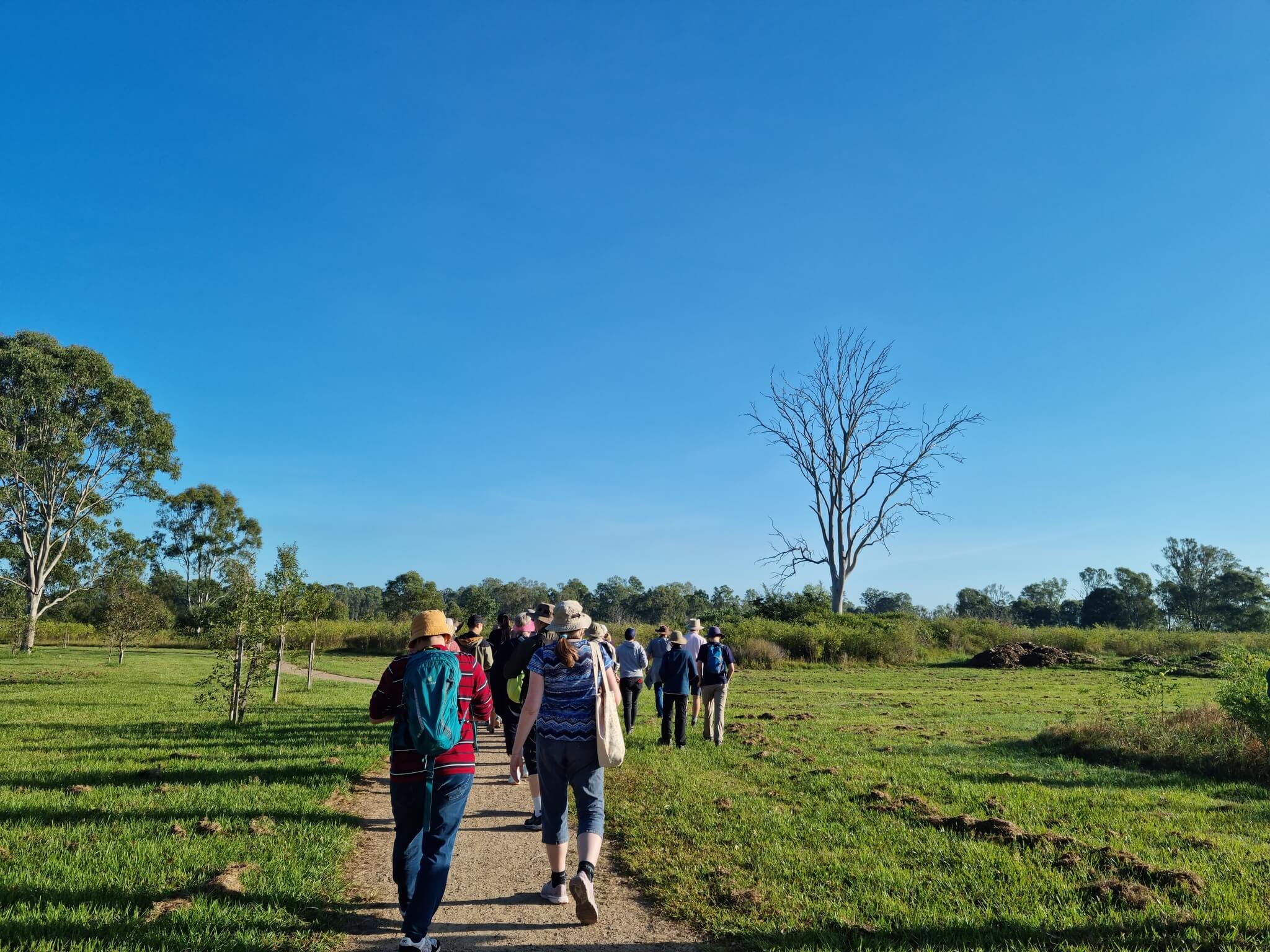 People walking in the outdoors