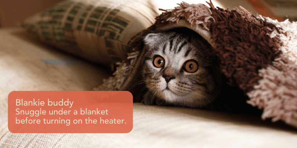A cat looking out from under a rug. On-image text reads: 'Blankie buddy. Snuggle under a blanket before turning on the heater.